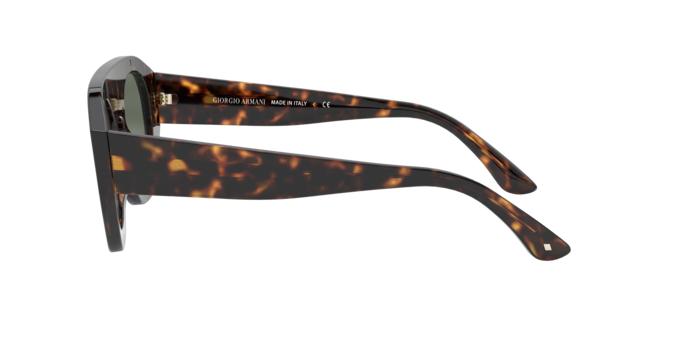 Giorgio Armani Sunglasses AR8135 502671