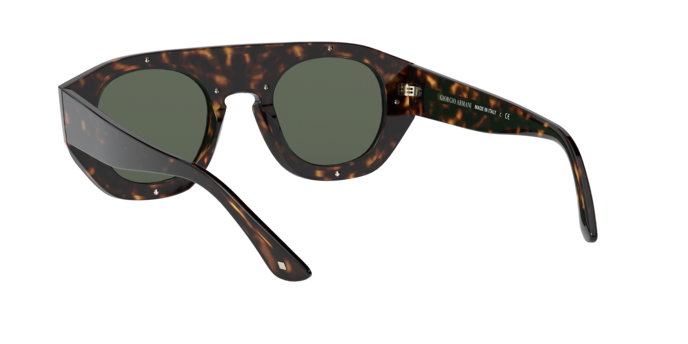 Giorgio Armani Sunglasses AR8135 502671