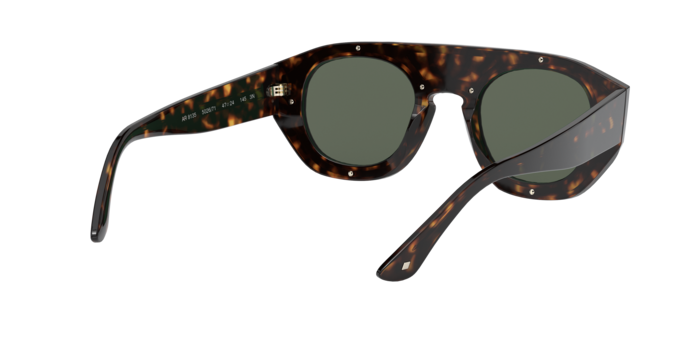 Giorgio Armani Sunglasses AR8135 502671