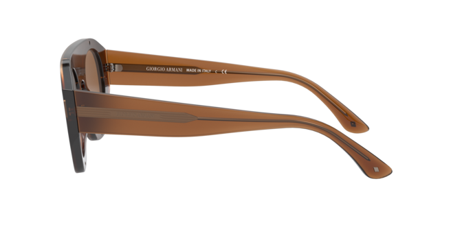 Giorgio Armani Sunglasses AR8135 58197D