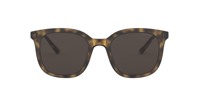 Giorgio Armani Sunglasses AR8136 502673