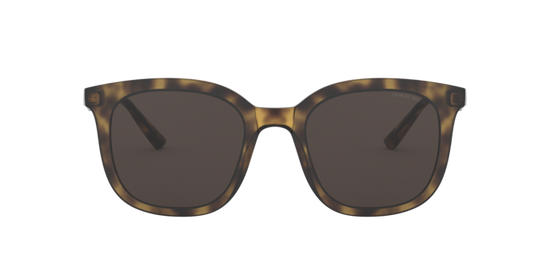 Giorgio Armani Sunglasses AR8136 502673