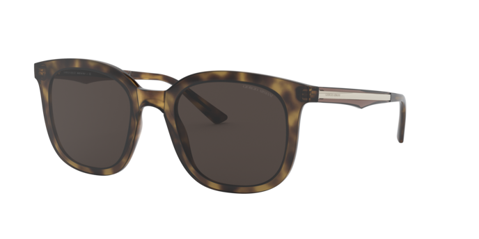Giorgio Armani Sunglasses AR8136 502673
