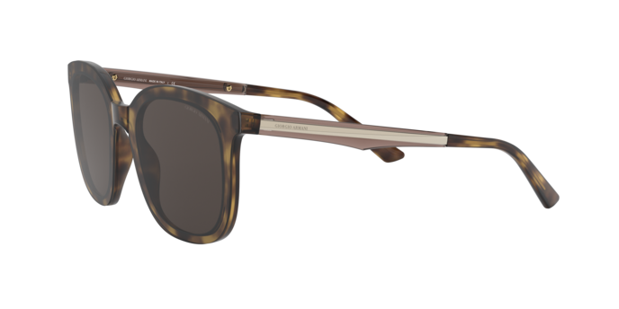 Giorgio Armani Sunglasses AR8136 502673