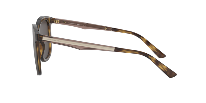 Giorgio Armani Sunglasses AR8136 502673