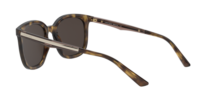 Giorgio Armani Sunglasses AR8136 502673