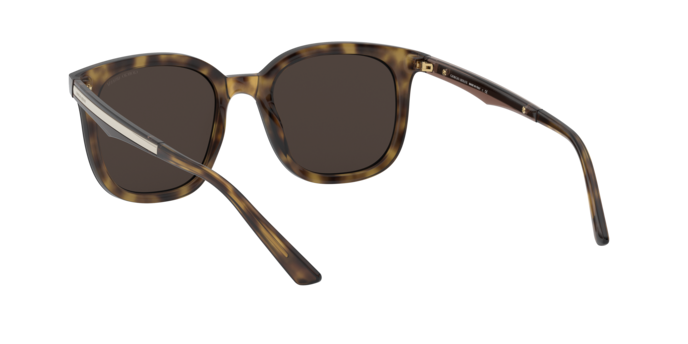 Giorgio Armani Sunglasses AR8136 502673