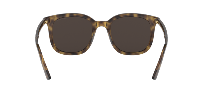 Giorgio Armani Sunglasses AR8136 502673