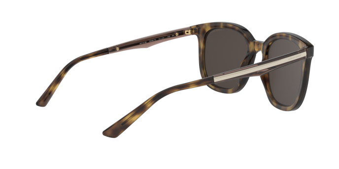 Giorgio Armani Sunglasses AR8136 502673