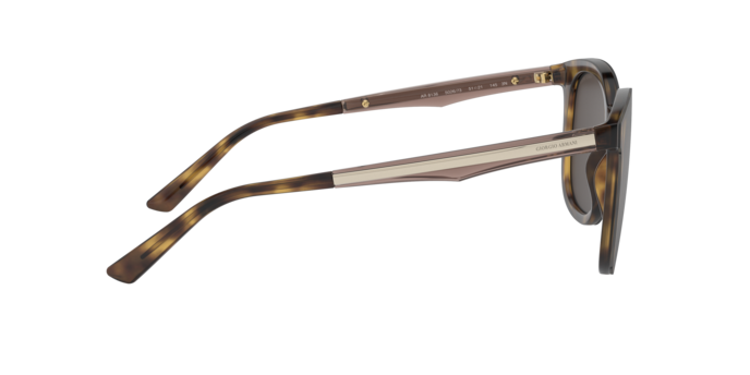 Giorgio Armani Sunglasses AR8136 502673