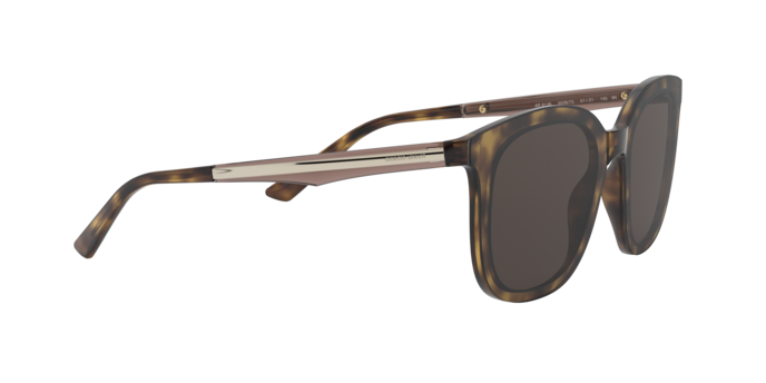 Giorgio Armani Sunglasses AR8136 502673