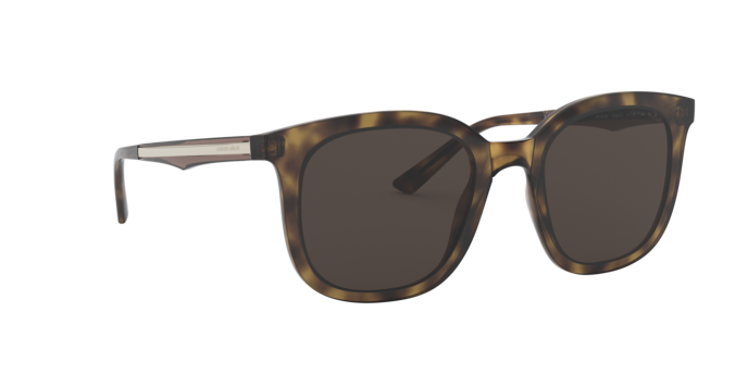 Giorgio Armani Sunglasses AR8136 502673