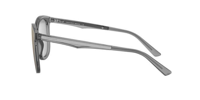 Giorgio Armani Sunglasses AR8136 58226V