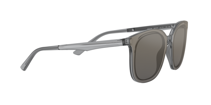 Giorgio Armani Sunglasses AR8136 58226V