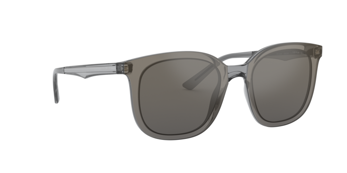 Giorgio Armani Sunglasses AR8136 58226V