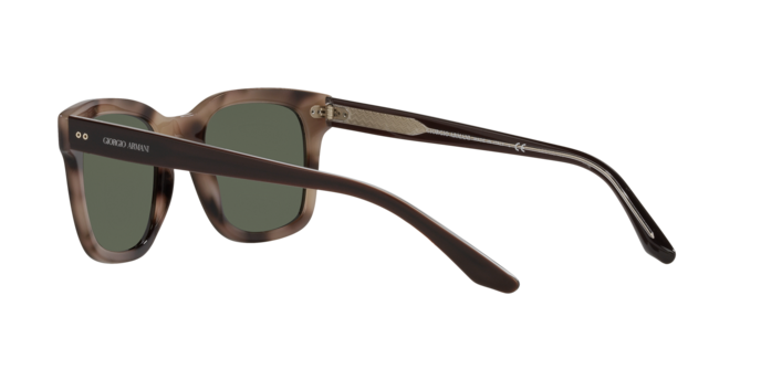 Giorgio Armani Sunglasses AR8138 573431