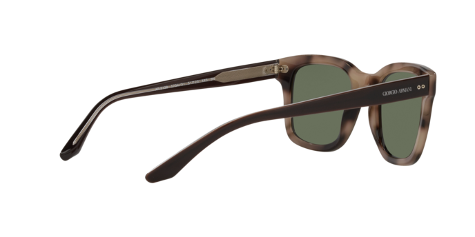 Giorgio Armani Sunglasses AR8138 573431