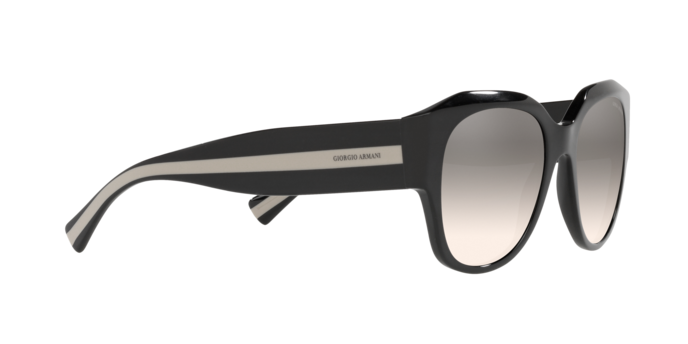 Giorgio Armani Sunglasses AR8140 50016I