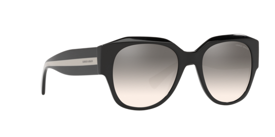 Giorgio Armani Sunglasses AR8140 50016I