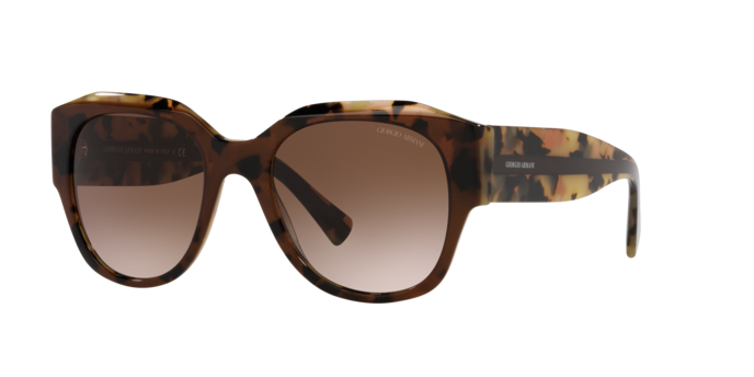 Giorgio Armani Sunglasses AR8140 586713