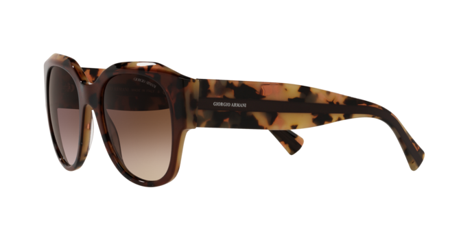 Giorgio Armani Sunglasses AR8140 586713