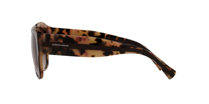 Giorgio Armani Sunglasses AR8140 586713
