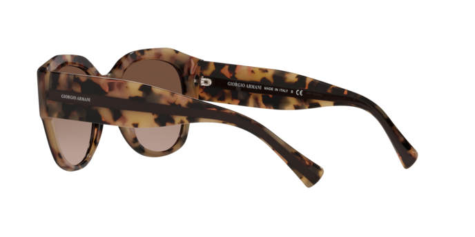 Giorgio Armani Sunglasses AR8140 586713