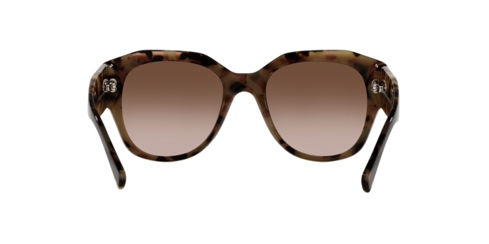 Giorgio Armani Sunglasses AR8140 586713