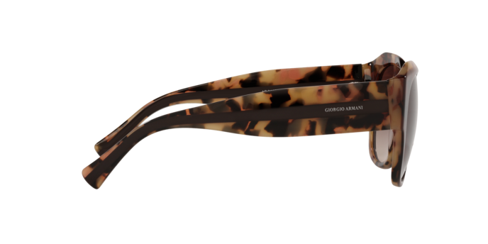 Giorgio Armani Sunglasses AR8140 586713