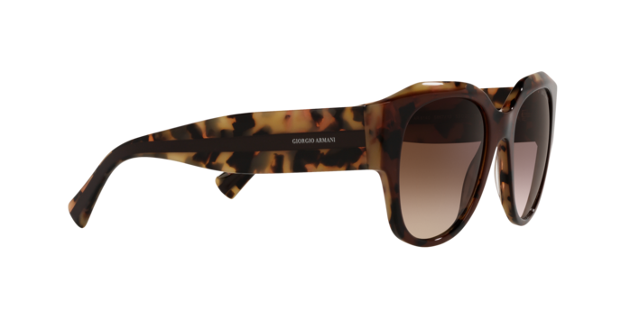 Giorgio Armani Sunglasses AR8140 586713