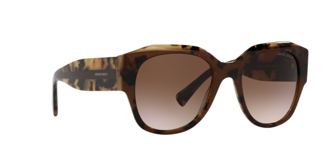 Giorgio Armani Sunglasses AR8140 586713