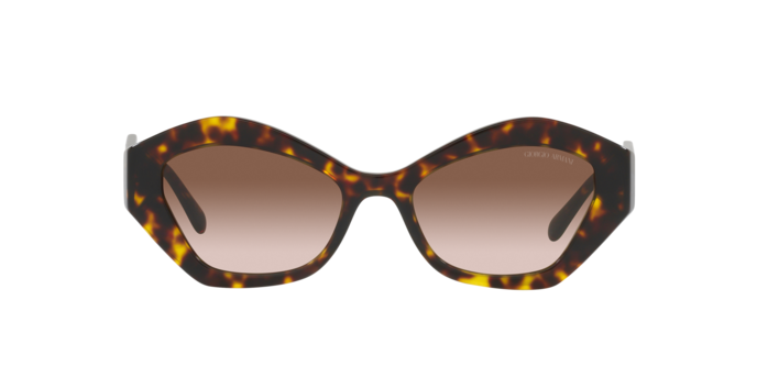 Giorgio Armani Sunglasses AR8144 502613