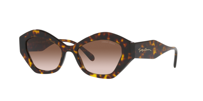 Giorgio Armani Sunglasses AR8144 502613