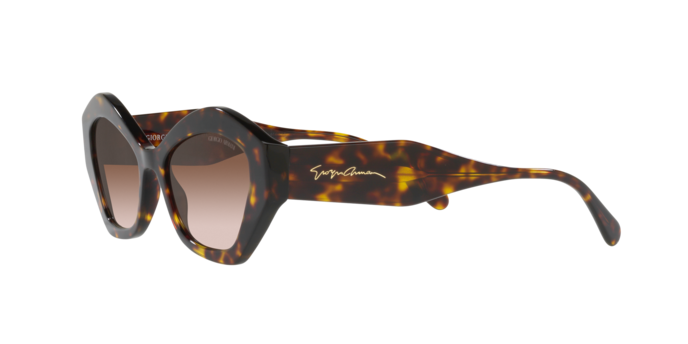 Giorgio Armani Sunglasses AR8144 502613