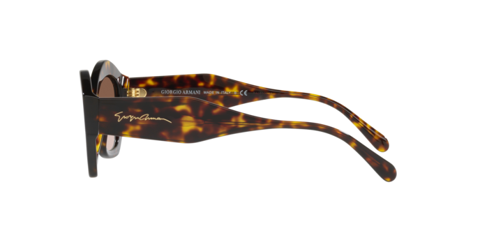 Giorgio Armani Sunglasses AR8144 502613