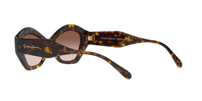 Giorgio Armani Sunglasses AR8144 502613