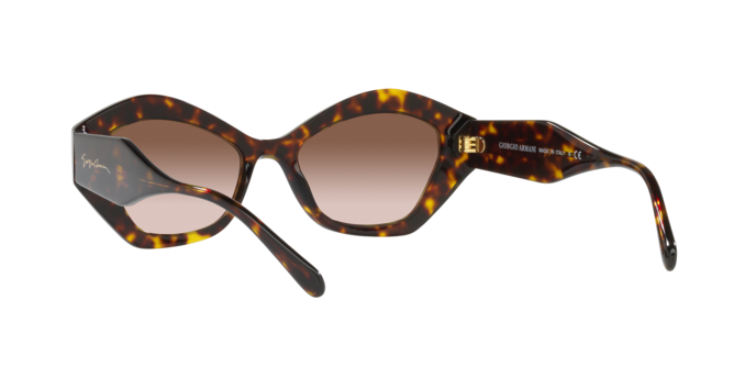 Giorgio Armani Sunglasses AR8144 502613