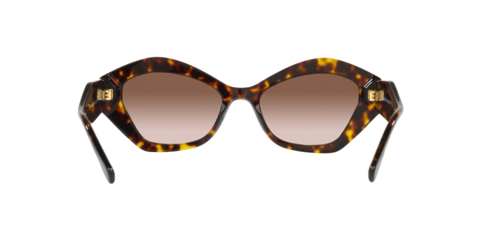 Giorgio Armani Sunglasses AR8144 502613
