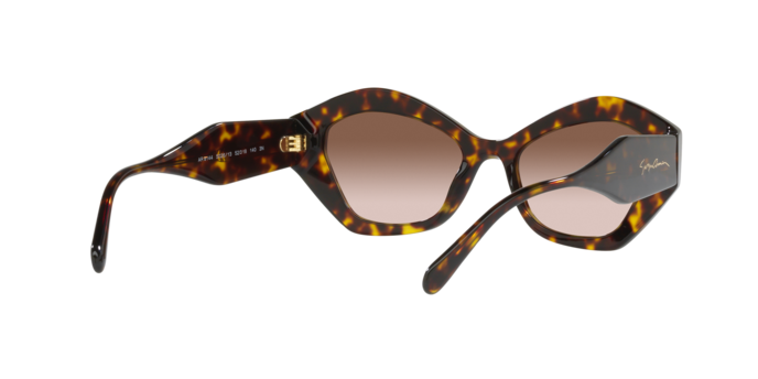 Giorgio Armani Sunglasses AR8144 502613