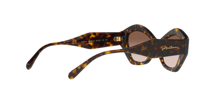 Giorgio Armani Sunglasses AR8144 502613