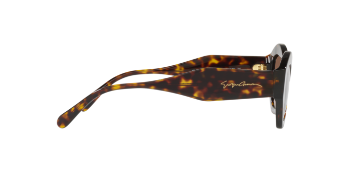 Giorgio Armani Sunglasses AR8144 502613