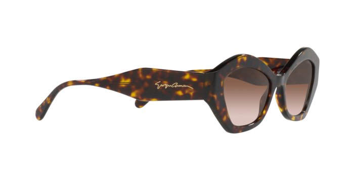 Giorgio Armani Sunglasses AR8144 502613