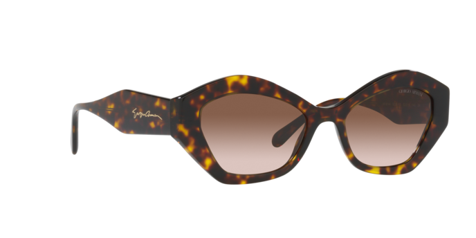 Giorgio Armani Sunglasses AR8144 502613