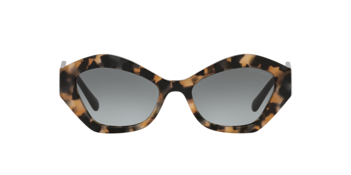 Giorgio Armani Sunglasses AR8144 584711