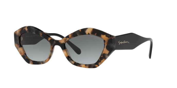 Giorgio Armani Sunglasses AR8144 584711