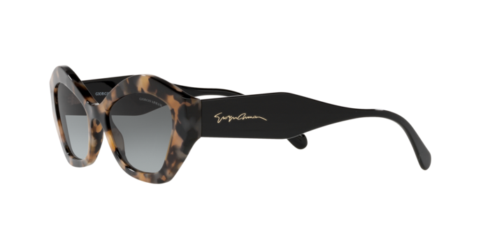 Giorgio Armani Sunglasses AR8144 584711