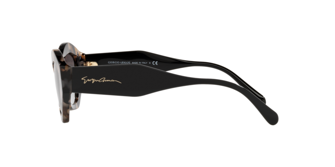 Giorgio Armani Sunglasses AR8144 584711