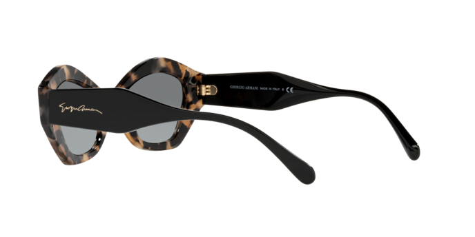 Giorgio Armani Sunglasses AR8144 584711