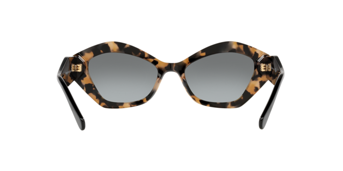 Giorgio Armani Sunglasses AR8144 584711