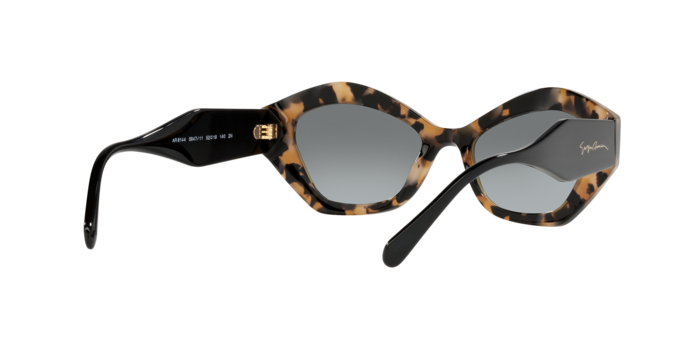 Giorgio Armani Sunglasses AR8144 584711